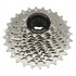 Piñon Thinkrider 11V